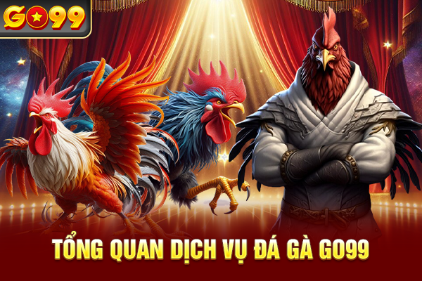 Tổng quan dịch vụ đá gà Go99